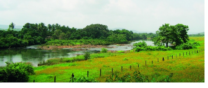 Importance of Wetlands - Bhavtal | पाणथळ जागांचे महत्व -- भवताल