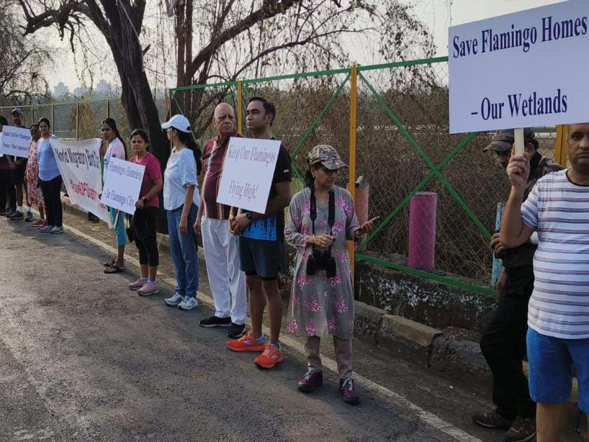 Navi Mumbai: To save the DPS flamingo pond, environmentalists took to the streets, did a human chain protest | डीपीएस फ्लेमिंगो तलाव वाचविण्यासाठी पर्यावरणप्रेमी उतरले रस्त्यावर, केले मानवी साखळी आंदोलन