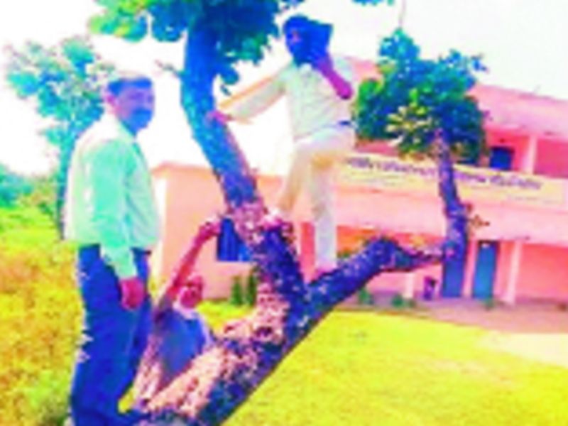 Teachers 'attendance' on daily tree for internet network | नेटवर्कसाठी शिक्षकांची रोज झाडावर ‘हजेरी’