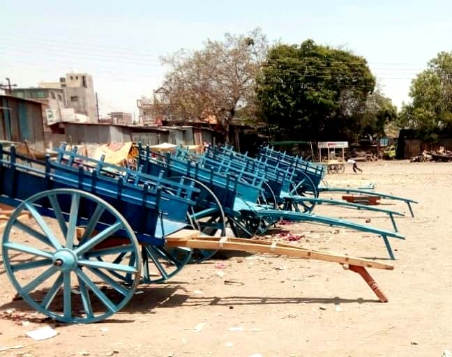  The 'glory' of the bullock cart is still there | बैलगाडीची ‘शान’ अजूनही कायम