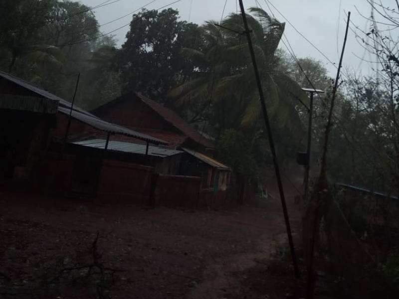 Cyclone Tauktae Two sisters were killed tree fell on a hut in Alamner | Cyclone Tauktae: तौत्के चक्रीवादळाचा तडाखा! अमळनेरमध्ये झोपडीवर झाड कोसळून दोन बहिणी ठार