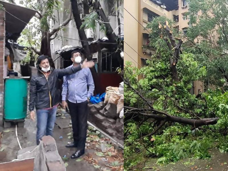 Tauktae Cyclone Opposition Leader Visits Tree Collapse | Tauktae Cyclone: झाडे कोसळलेल्या ठिकाणांना भरपावसात विरोधीपक्ष नेत्यांची भेट