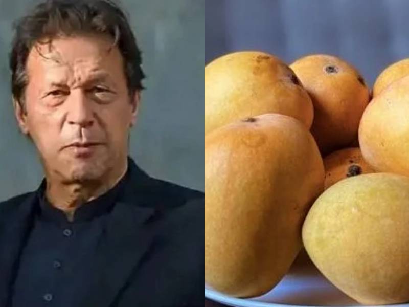 pakistan mango diplomacy fail us china other countries declined to receive ruit as a gift | Pakistan Mango Diplomacy: पाकिस्तानची जागतिक नाचक्की! अमेरिका, चीननं परत पाठवले भेट दिलेले आंबे