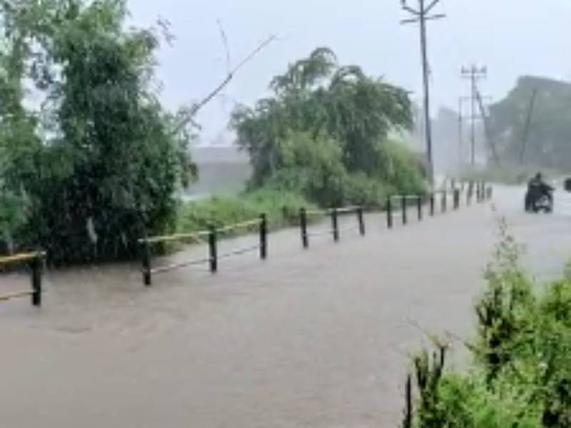 maharashtra Rain Update Heavy rains in Palghar Panvel Thane Ambernath alert next 3 to 4 hours | Rain Updates: पालघर, पनवेल, ठाणे, अंबरनाथमध्ये मुसळधार; मुंबईतही संततधार, पुढील ३ ते ४ तास अलर्ट!