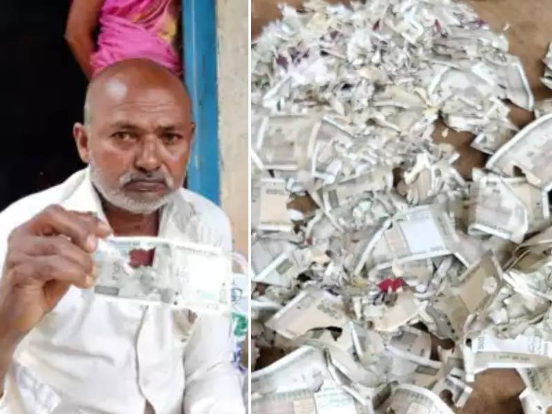 Telangana Rats nibble Rs 2 lakh cash of vegetable farmer kept for his surgery | दुर्दैवी घटना! शेतकऱ्यानं स्वत:च्या सर्जरीसाठी जमा केलेले २ लाख रुपये उंदरानं कुरतडले; शेतकरी हवालदील