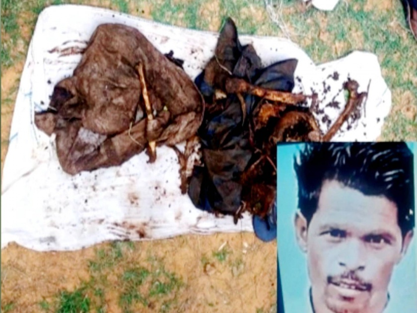 wife kills husband with lover and friend in gwalior madhya pradesh | अण्णा नाईक स्टाईल खून! प्रियकराच्या मदतीनं पतीची हत्या; मृतदेह गाडून वर रोपटं लावलं