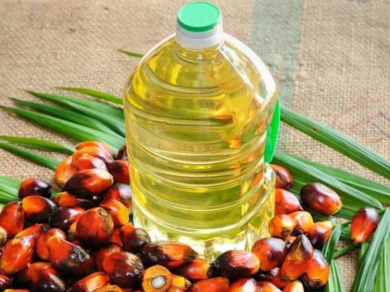 Government has reduced import duty on Crude Palm Oil | Crude Palm Oil: सुखवार्ता! खाद्यतेलाच्या किमती कमी होणार, सरकारनं पामतेलावरील आयात शुल्कात केली मोठी कपात