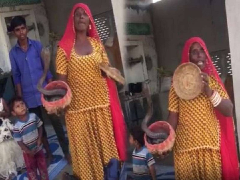 woman threatens medical team with snake during covid 19 vaccination drive in rajasthan | VIDEO: लस टोचायला आलात तर अंगावर साप टाकेन; महिलेची आरोग्य कर्मचाऱ्यांना धमकी