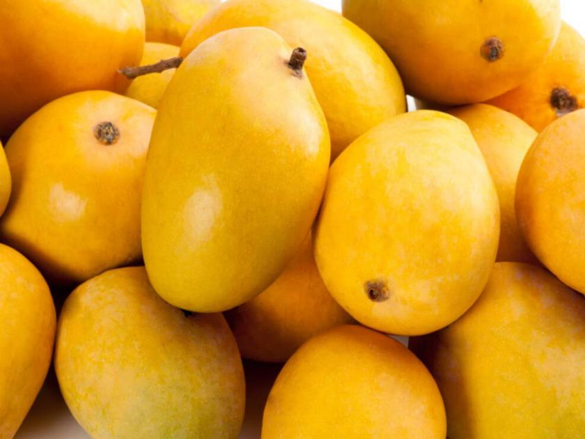 alphonso mango exported to england | कोकणचा राजा इंग्लंडमध्ये; डझनसाठी १८०० ते १९०० रुपये दर