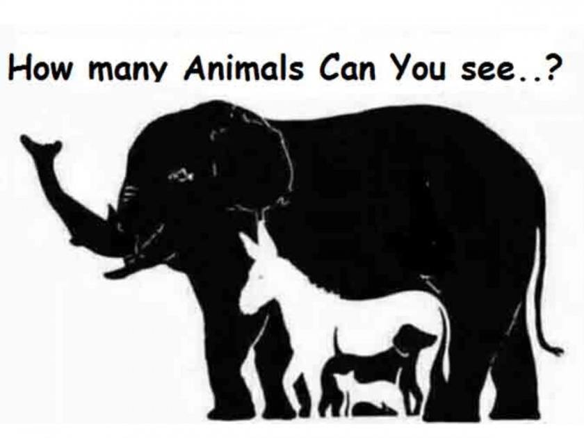 how many animals are there in this picture 9 out of 10 people have failed to tell | सांगा पाहू 'या' फोटोत किती प्राणी आहेत? १० पैकी ९ जणांनी दिलं चुकीचं उत्तर!