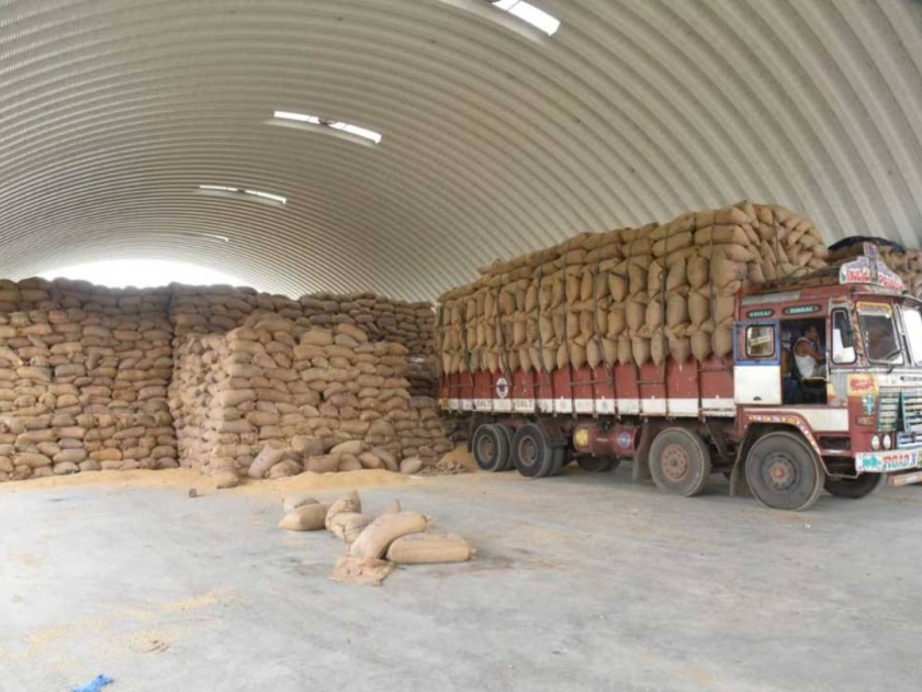 903 metric tons of grain stolen from government godowns | सरकारी गोदामांतून चोरीला गेले ९०३ मेट्रिक टन धान्य; पंजाबमध्ये सर्वाधिक धान्य चोरी