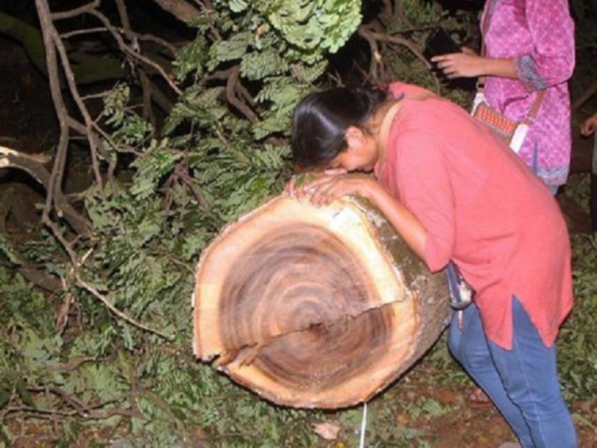 Aarey Strict action if any tree is cut for Metro court warns Mumbai Metro Rail Corporation | आरे: मेट्रोसाठी एकही झाड तोडल्यास कठाेर कारवाई, कोर्टाचा मुंबई मेट्रो रेल्वे महामंडळाला इशारा