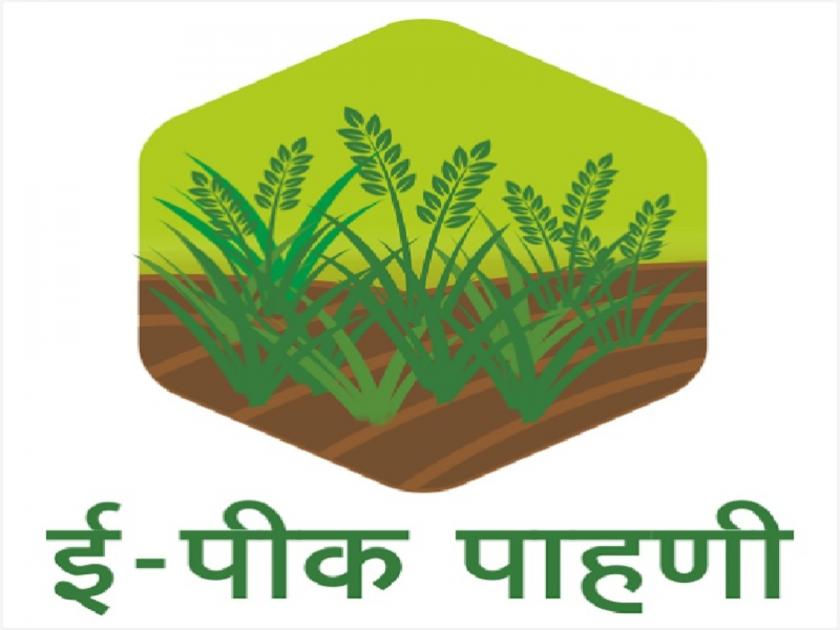 1 30 lakh farmers of Washim district will self-register information on Satbara | वाशिम जिल्ह्यातील १.३० लाख शेतकरी स्वत: नोंदविणार सातबारावर माहिती
