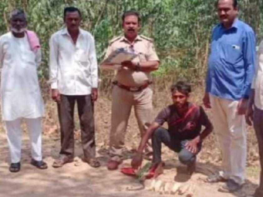 Sandalwood smuggler in Karnataka arrested from Dodamarg, Karnataka Police action | कर्नाटक मधील चंदन तस्कर दोडामार्ग मधून ताब्यात, कर्नाटक पोलिसाची कारवाई 