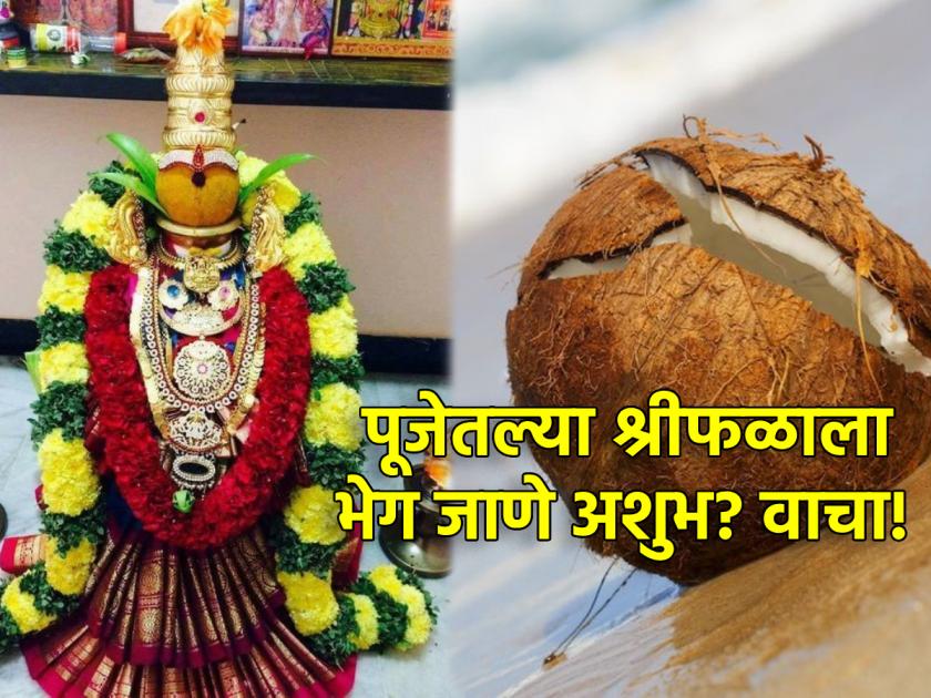 Margashirsha Guruvar 2023: Cracking a coconut kept in Mahalakshmi's worship 'auspicious' or 'auspicious'? Read on! | Margashirsha Guruvar 2023: महालक्ष्मीच्या पूजेत ठेवलेल्या नारळाला तडा जाणे 'शुभ' की 'अशुभ'? वाचा!