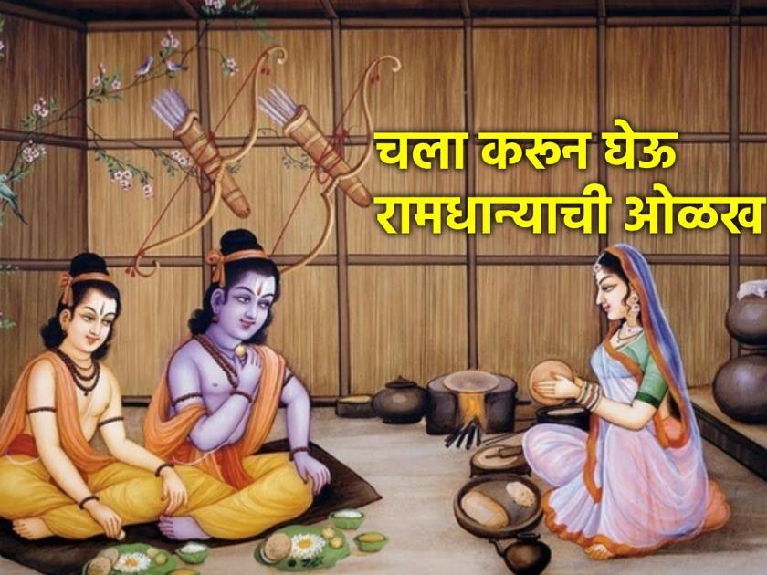 Why does Rama love ragi? The answer to this is found in Sant Kanakdas' poem 'Ramdhanyacharitra'! | रामाला नाचणी प्रिय का? याचे उत्तर मिळते संत कनकदास यांच्या 'रामधान्यचरित्र' काव्यात!
