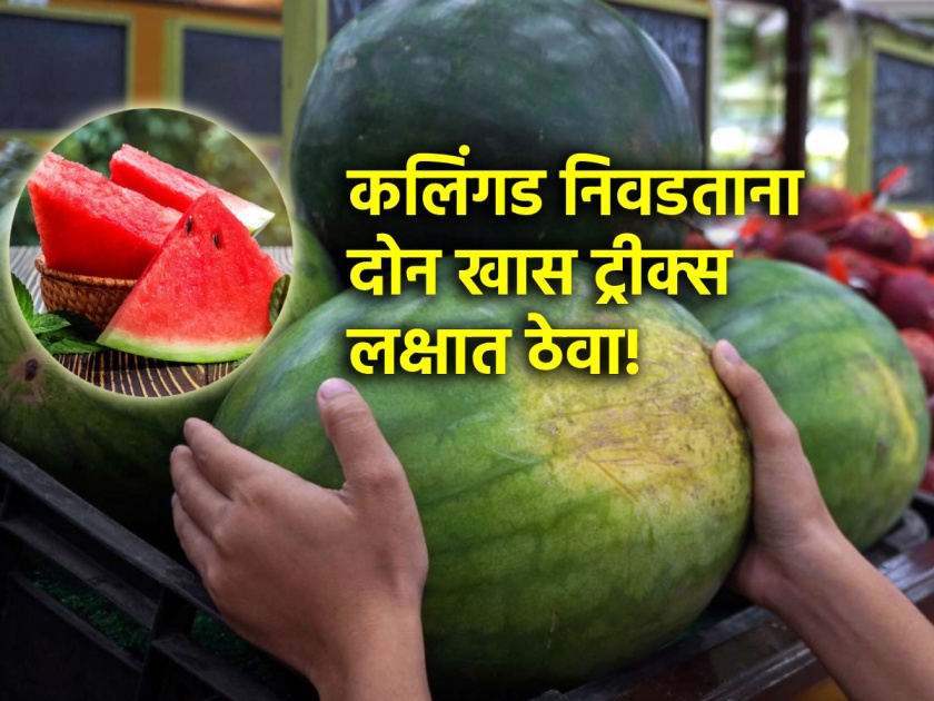 Health Tips: Check two things while buying watermelon; You will know immediately whether it is natural or artificial! | Health Tips: कलिंगड विकत घेताना दोन गोष्टी नक्की तपासून घ्या; नैसर्गिक आहे की कृत्रिम लगेच कळेल!