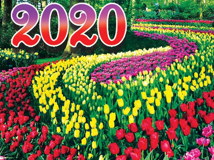 Challenges before india in the year 2020 | नववर्षात सर्व इच्छा एकदिलाने पूर्ण करू!