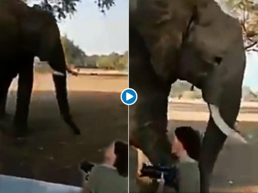 Elephant gently moves a woman getsup close to click his pictures | Video : फोटो काढत असलेल्या महिलेसोबत हत्तीने जे केलं त्यावर विश्वास बसणार नाही!