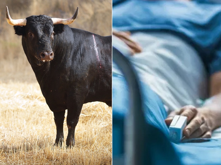 Man is hospitalised with 3 days erection after taking sexual stimulant used for breeding bulls in mexico | पॉवर वाढवण्यासाठी त्याने घेतलं रेड्याचं औषध, तीन दिवस हॉस्पिटलमध्ये बसला बोंबलत