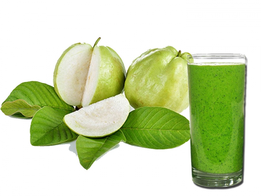 Know the health benefits of guava leaf juice | एकदा जर घ्याल पेरूच्या पानांचा ज्यूस तर डॉक्टरकडे जाणं विसराल, फायदे वाचून थक्क व्हाल!