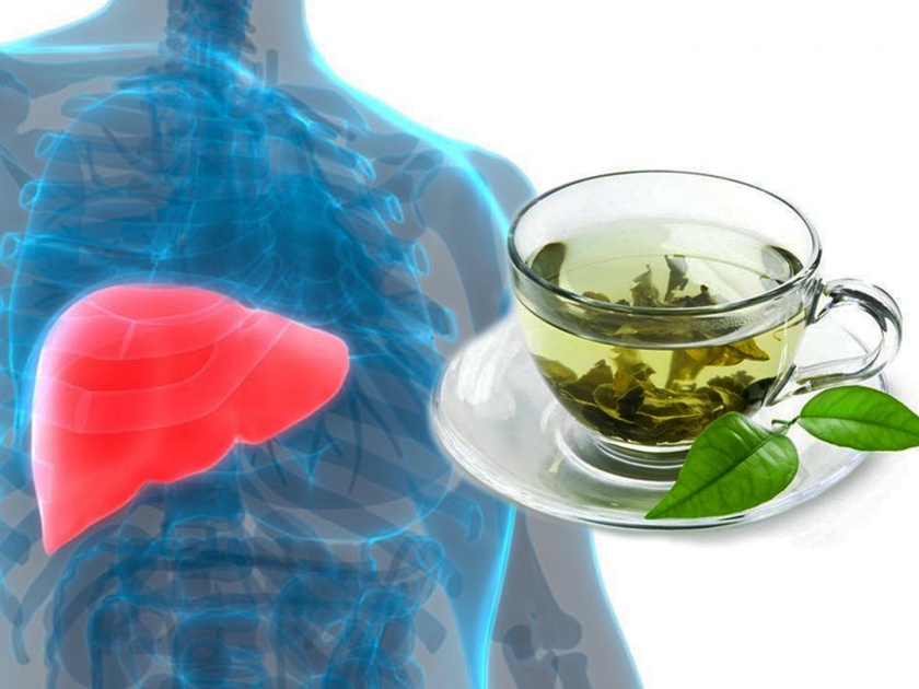 Liver infections and iron deficiency can be a result of consuming too much green tea | जास्त ग्रीन टी प्यायल्याने लिव्हरला होऊ शकतं इन्फेक्शन, जाणून घ्या साइड इफेक्ट्स...