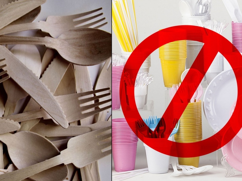 New study says that wooden or cardboard cutlery is more dangerous than plastic | प्लास्टिकऐवजी आता लाकडाचे चमचे आणि प्लेट्स वापरत असाल तर वेळीच व्हा सावध!