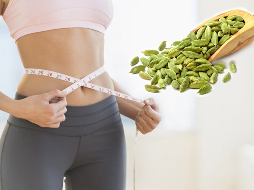 To lose weight chew everyday 3 cardamom | वजन कमी करायचं असेल तर वेलची ठरते फायदेशीर, कशी ते जाणून घ्या!