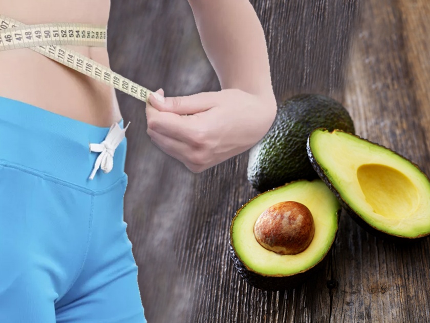 Avocado diet for overweight people, Know how it helps in weight loss | ओव्हरवेट लोकांचं आयुष्य बदलू शकते अ‍ॅव्होकॅडो डाएट, पटापट करा वजन कमी