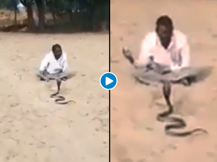 Drunk man playing for hours with snake video goes viral | दारूच्या नशेत 'तो' फणा काढलेल्या सापासोबत खेळू लागला, थरारक व्हिडीओ झाला व्हायरल....