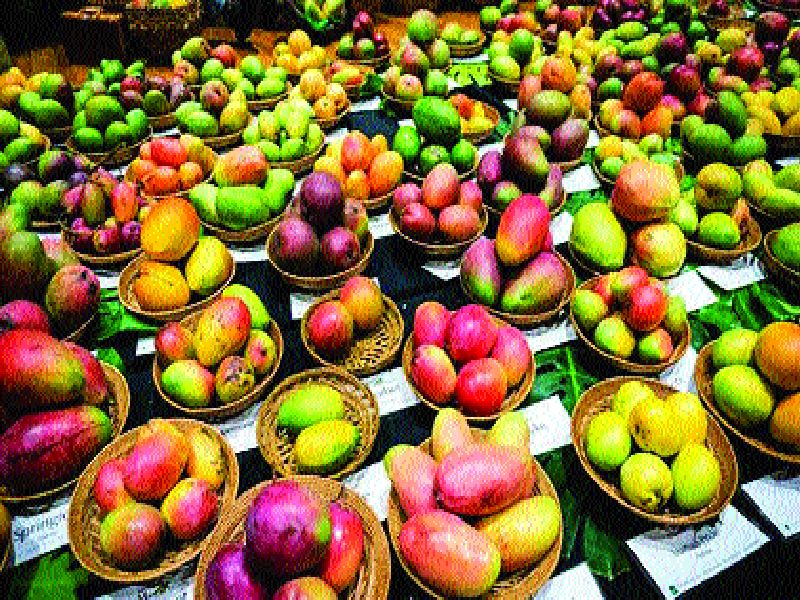 Around 700 varieties of Mango in the exhibition in Lucknow! | लखनऊमधील प्रदर्शनात दाखल तब्बल ७०० जातींचे आंबे!