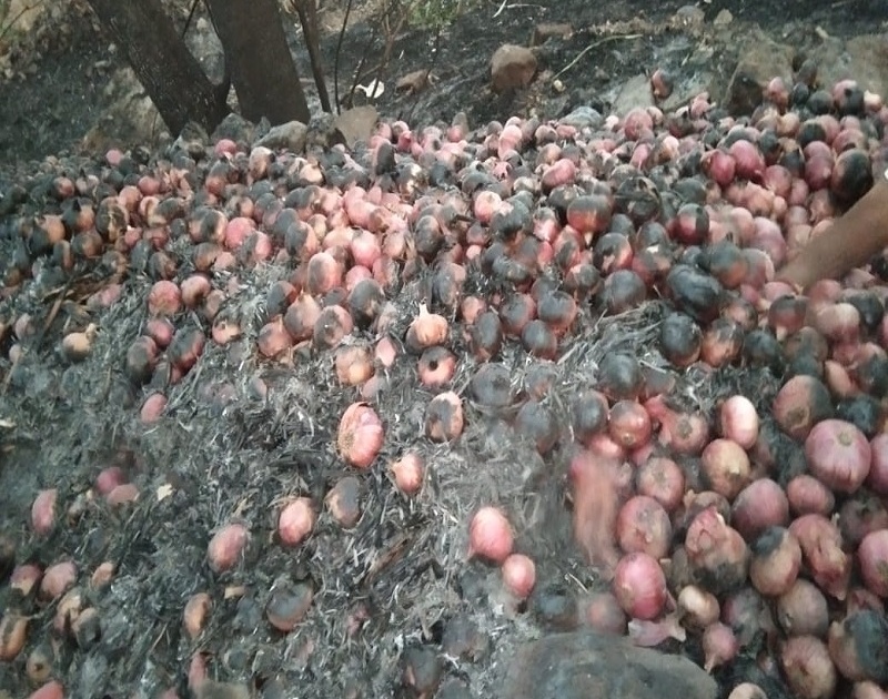  Lightning on the onion barn: Thousands of goon burns onion | कांदा वखारीवर वीज पडली : हजार गोणी कांदा जळाला