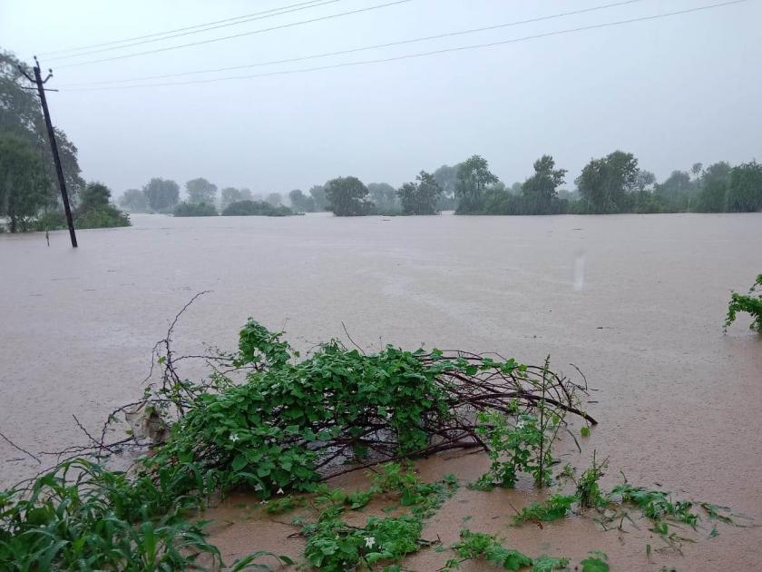 Life disrupted in Buldhana district due to continuous rain | संततधार पावसाने बुलढाणा जिल्ह्यात जनजीवन विस्कळीत; चार तालुक्यात अतिवृष्टी
