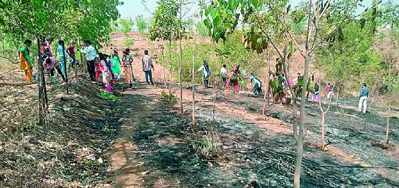 3,000 trees were burnt in oxygen park fire in wardha | वर्धेच्या निसर्ग हिल परिसरात आगडोंब; ३ हजार झाडं जळाली