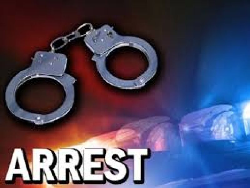 two burglars arrested for 12 burglary cases | दिवसा भंगाराचे काम, रात्री घरफोडीचा धंदा; दोन अट्टल चोरटे जेरबंद