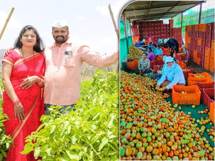 The tomato crop supported; A farmer couple in Junnar became millionaires in a single crop | टोमॅटोच्या पिकाची साथ; जुन्नरमधील दाम्पत्य एकाच पिकात करोडपती, तब्बल २ कोटी मिळवले
