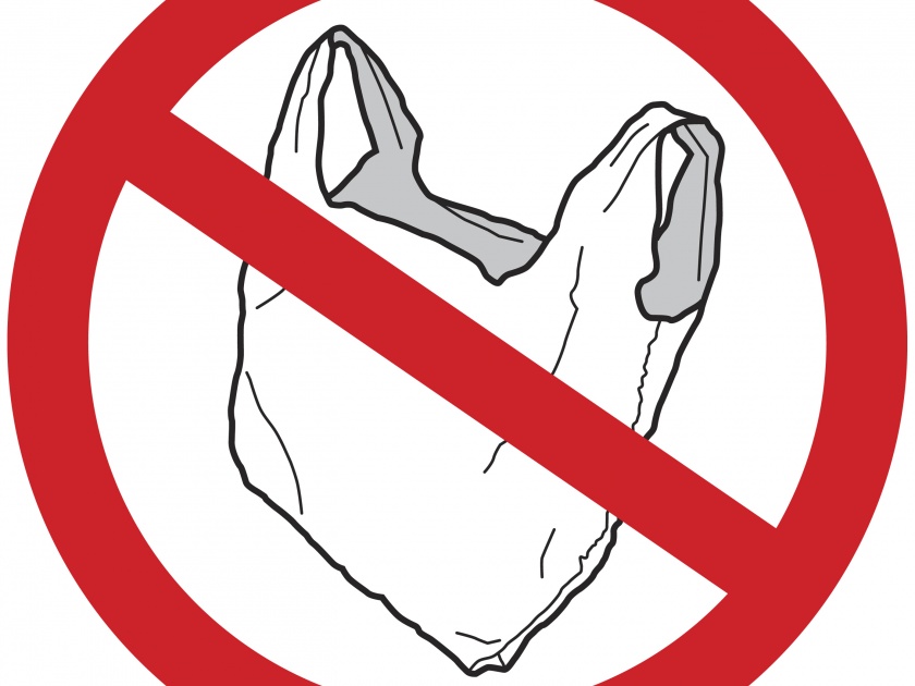 say no to plastic bags | प्लास्टिकची पिशवी आपण नाहीच वापरली तर?