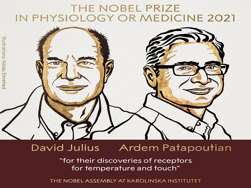Nobel Prize 2021: David Julius and Ardem Patapautian awarded the Nobel Prize in Medicine | Nobel Prize 2021: डेविड जूलियस आणि अर्देम पटापाउटियन यांना वैद्यकशास्त्रातील नोबेल जाहीर