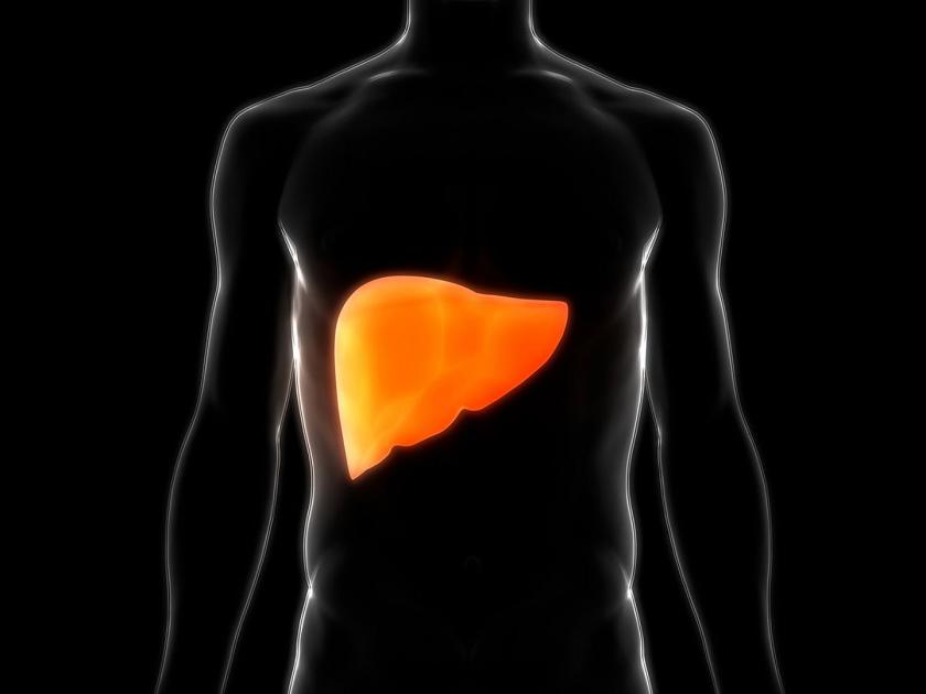What is non alcoholic fatty liver disease symptoms and prevention | नॉन अल्कोहोलिक फॅटी लिव्हरची काय असतात कारणे आणि लक्षणे?