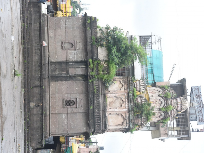 City smart, shrubs on temples! | शहर स्मार्ट, मंदिरांवर झुडपे!