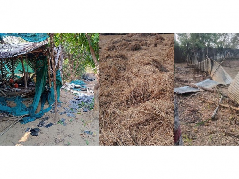 Wild elephants rampage in Lakhani taluka; Goshala vandalized, nursery vandalized, paddy pile destroyed | जंगली हत्तींचा लाखनी तालुक्यात उच्छाद; गोशाळेत तोडफोड, राेपवाटिकेत धुडगूस, धान पुंजने उद्ध्वस्त
