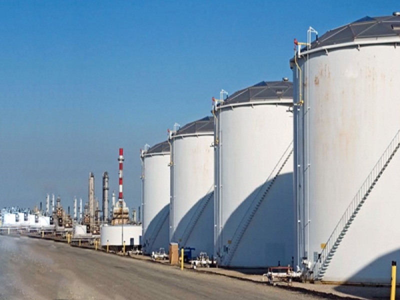 Oil imports fall due to new biofuel policy | नव्या जैवइंधन धोरणामुळे तेल आयातीत मोठी कपात