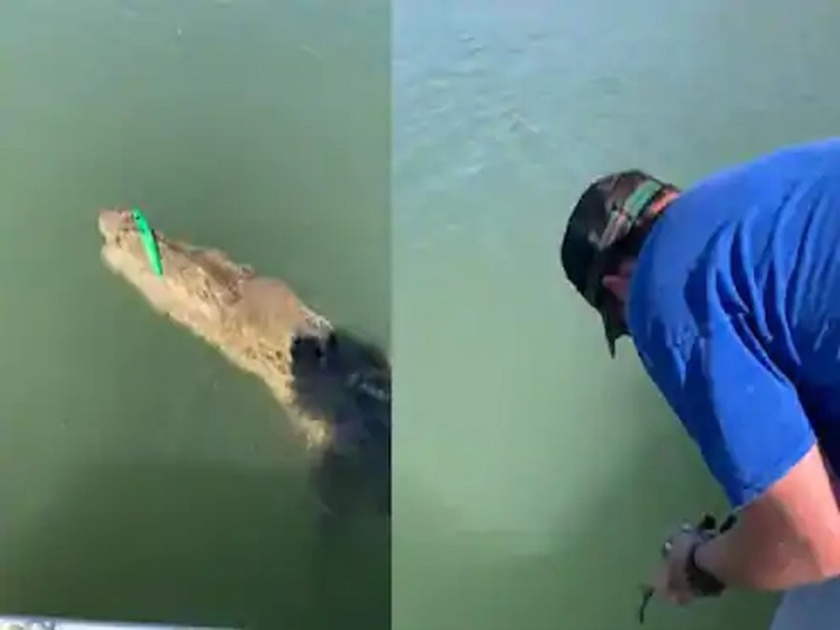 Man catch crocodile in hook horrifying video goes viral | Video : बापरे! मासे पकडण्यासाठी नदीत टाकलं जाळं, गळाला लागली मगर, अन् मग.....