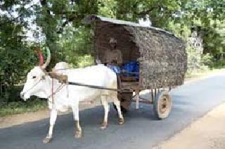 In the modern era, the bullock cart will be extinct | आधुनिक युगात बैलगाडी होणार नामशेष
