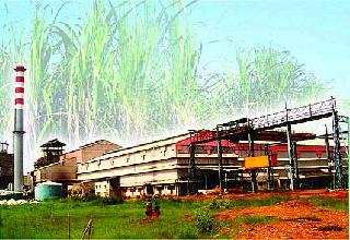 Sugar industry gets relief from import duty | आयात शुल्कवाढीने साखर उद्योगाला दिलासा