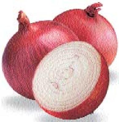 There is no scope for onion insurance | कांद्याला विमा नसल्याने संताप