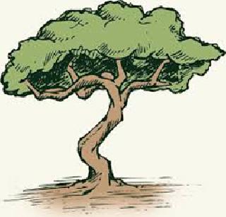 Magic of only 5 trees | फक्त 5 झाडांची जादू