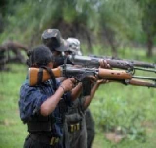 12 Naxalites killed in Jharkhand | झारखंडमध्ये १२ नक्षलवादी ठार