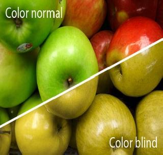 Former Union officials changed the convenience of color blindness | माजी केंद्रीय अधिका-यांनी सोयीनुसार बदलविले रंग अंधत्वाचे नियम
