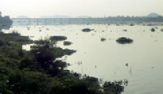 Many of the infected water of the Wainganga river hit | वैनगंगा नदीच्या दूषित पाण्याचा अनेकांना फटका